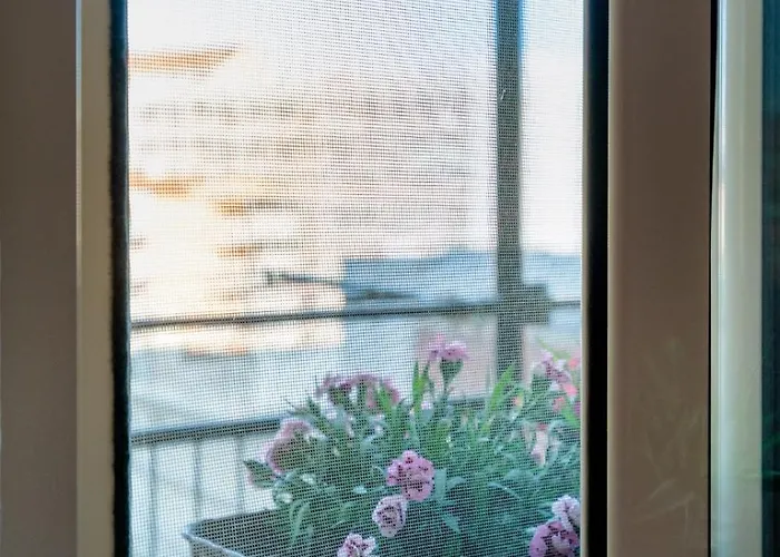 Mimi A * 밀라노